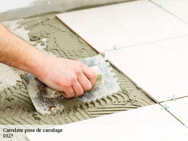 Carreleur pose de carrelage  1025